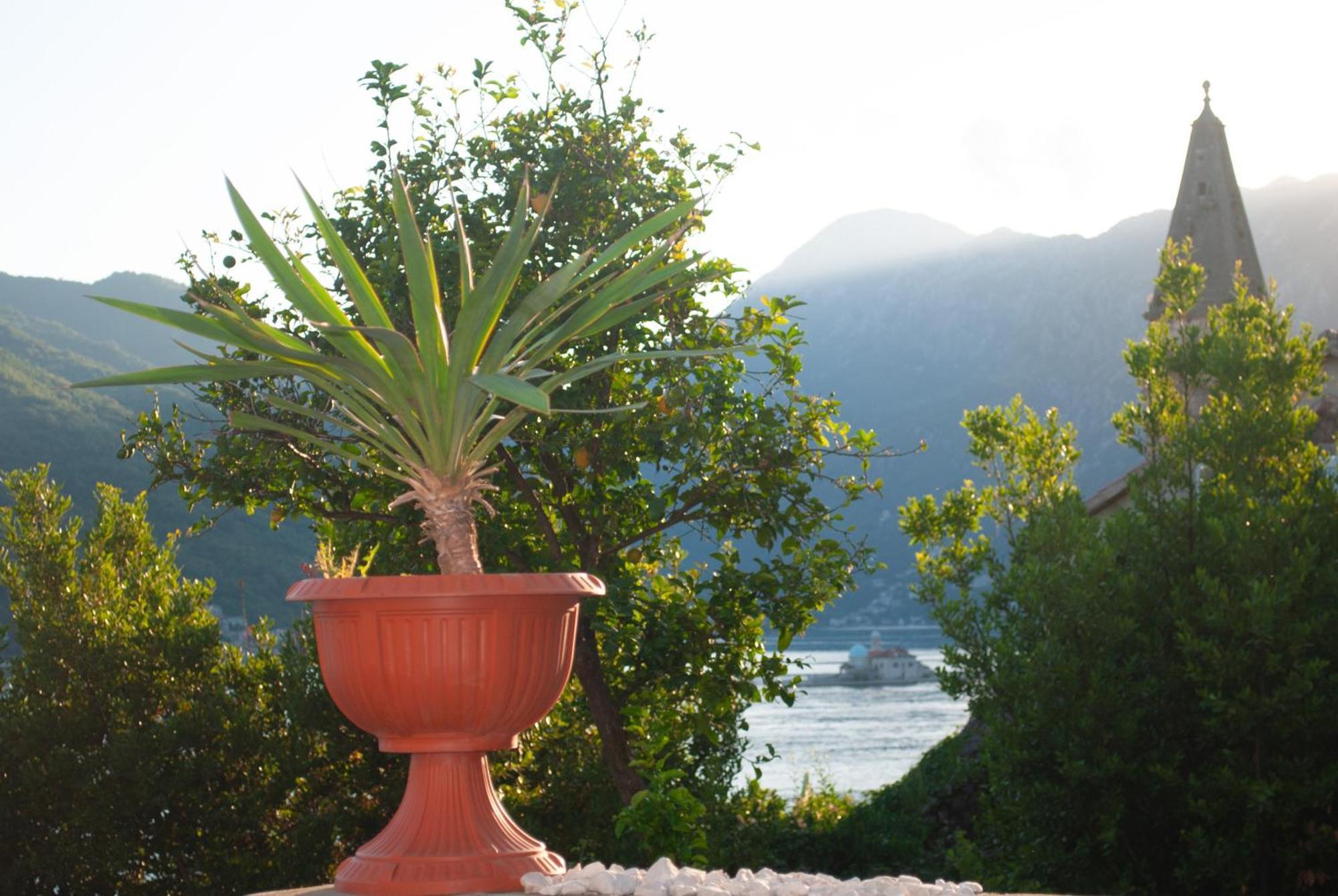 Apartment Mediterraneo Seagull Perast Esterno foto